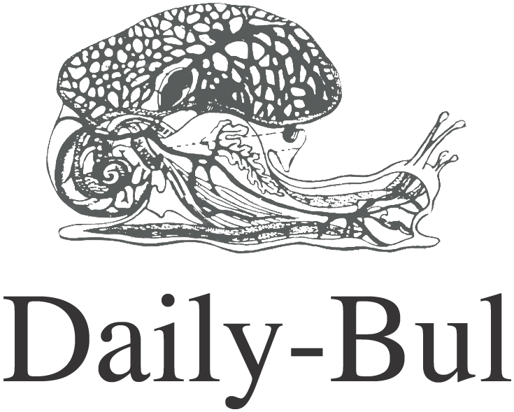 Daily-Bul